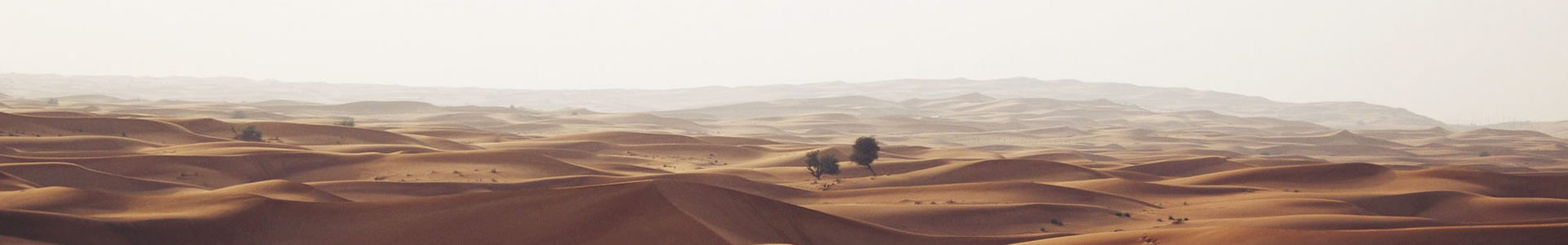 Դó޹˾